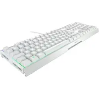 XTRFY MX 3.1, Langallinen, USB, Mekaaninen, QWERTZ, RGB LED, Valkoinen (G80-3890LJADE-0)