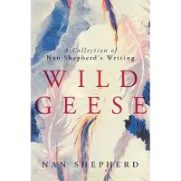 Wild Geese