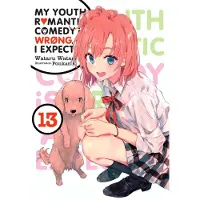 Little, Brown and Company My Youth Romantic Comedy Is Wrong, as I Expected, Vol. 13 (Light Novel): Volume 13