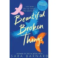 Beautiful Broken Things