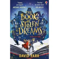 Usborne The Book of Stolen Dreams