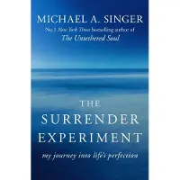 Hodder & Stoughton The Surrender Experiment: My Journey into Life's Perfection