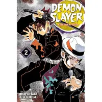 Viz Media, Subs. of Shogakukan Inc Demon Slayer: Kimetsu No Yaiba, Vol. 2: It Was You