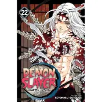 Viz Media, Subs. of Shogakukan Inc Demon Slayer: Kimetsu No Yaiba, Vol. 22: The Wheel of Fate