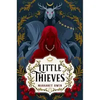 Little Thieves: The astonishing fantasy fairytale retelling of The Goose Girl