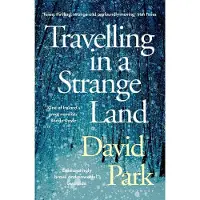 Travelling in a Strange Land: Winner of the Kerry Group Irish Novel of the Year