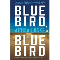 Bluebird, Bluebird