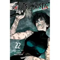 Gege Akutami Jujutsu Kaisen, Vol. 22