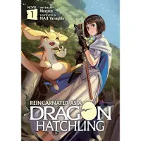 Seven Seas Entertainment Reincarnated as a Dragon Hatchling (Light Novel) Vol. 1