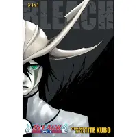 Kubo, Tite Bleach (3-in-1 Edition), Vol. 14