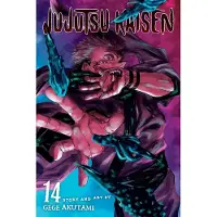 Viz Media, Subs. of Shogakukan Inc Jujutsu Kaisen, Vol. 14