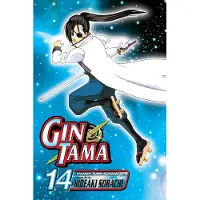 VIZ Media LLC Gin Tama, Vol. 14