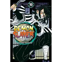 Viz Media, Subs. of Shogakukan Inc Demon Slayer: Kimetsu No Yaiba, Vol. 19: Flapping Butterfly Wings