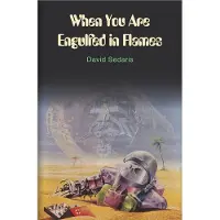 When You are Engulfed in Flames: Adventurer in Archaeology