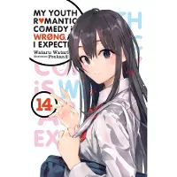 Little, Brown and Company My Youth Romantic Comedy Is Wrong, as I Expected, Vol. 14 (Light Novel): Volume 14