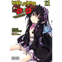 Yen Press High School DxD, Vol. 11 (light novel)