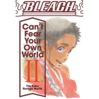 Viz Media, Subs. of Shogakukan Inc Bleach: Can't Fear Your Own World, Vol. 2