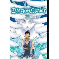 Tabata, Yuki Black Clover, Vol. 30