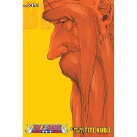 Kubo, Tite Bleach (3-in-1 Edition), Vol. 20