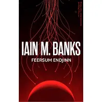Feersum Endjinn