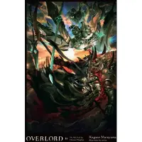 Little, Brown and Company Overlord, Vol. 14 (Light Novel): The Witch of the Doomed Kingdom Volume 14