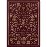 Crossway ESV Illuminated(TM) Bible, Art Journaling Edition