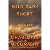 Wild Dark Shore: A Novel