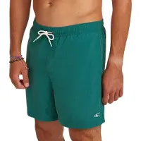 O'Neill Vert 16'' Surffishortsit botanical heat Koko S