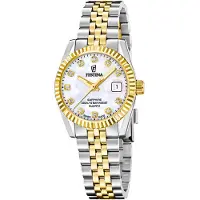 Festina Swiss Classic Steel F20088/1