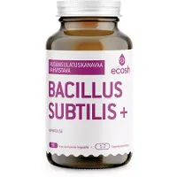 ECOSH Bacillus Subtilis + 90 kaps ravintolisä