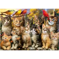 Educa Kittens And Birds 500p palapeli