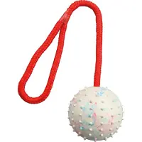 Trixie Ball on a Rope ø 7/30cm assorted colours
