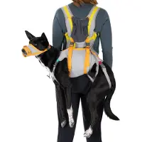 Ruffwear Backtrak Dog Evacuation Kit Cloudburst Gray L (81-91 cm)