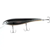 iFish The Fighter 120 mm Silver Sally Syötit OneSize