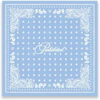Prohibited Scarf - Blue - ONE SIZE