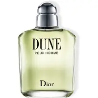 Dior Dune Pour Homme 100ml Eau De Toilette