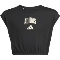 Adidas Seasonals Collegiate Typography Lyhythihainen T-paita
