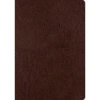 Bookoutlet ESV Single Column Journaling Bible, Large Print