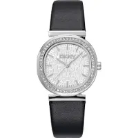 DKNY Analoginen kello 'Evening' musta / hopea