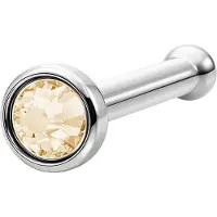 Wildcat Mini Jewelled Nosestud<!--63f70b36ac24f--> - Samppanja, Hopeinen metalli