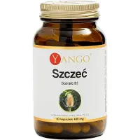Yango - Dipsacus (90 kapselia)