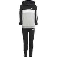 Adidas Tiberio 3 Stripes Colorblock Fleece Verkkapuku