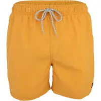 Rip Curl Offset Washed Volley Surffishortsit keltainen, XL