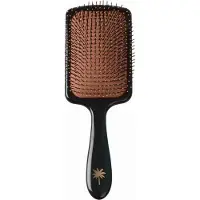 Fan Palm Wet Brush Big Star Paddle Str. L
