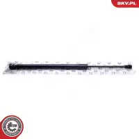 ESEN SKV Kaasujousi, tavaratila 52SKV716