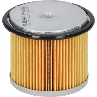 FILTRON Fuel filter