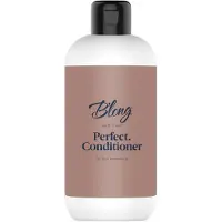 BLONG HAIR CARE Perfect. Conditioner 300 ml