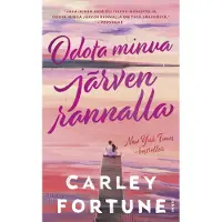 Odota minua järven rannalla