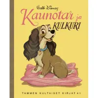 Bookoutlet Kaunotar ja Kulkuri. TKK 41