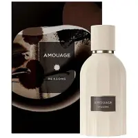 Amouage Reasons Extrait de Parfum 100 ml